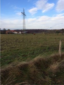 vorlesetag-auf-der-kuhweide-10