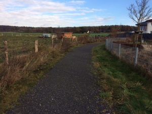 vorlesetag-auf-der-kuhweide-11