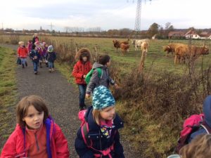 vorlesetag-auf-der-kuhweide-14