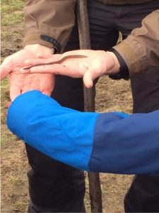 vorlesetag-auf-der-kuhweide-27